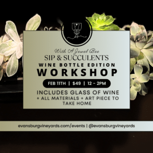 Sip & Succulent | Wine Bottle Edition Workshop